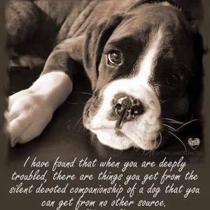 Meet your Posher, Kerstin